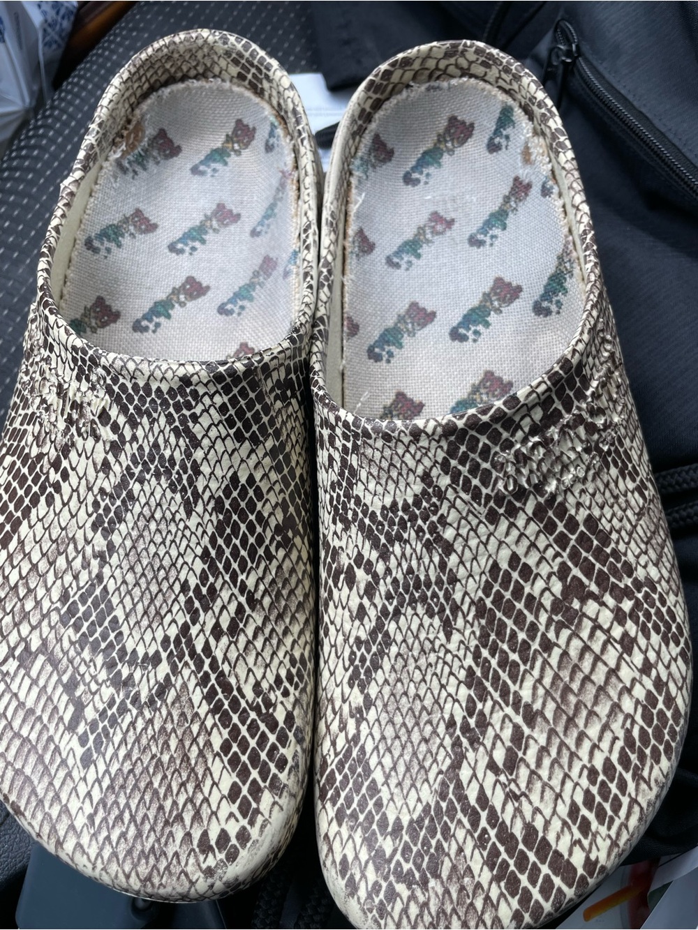 Birkenstock Snake-Print Clogs in Cream and Brown